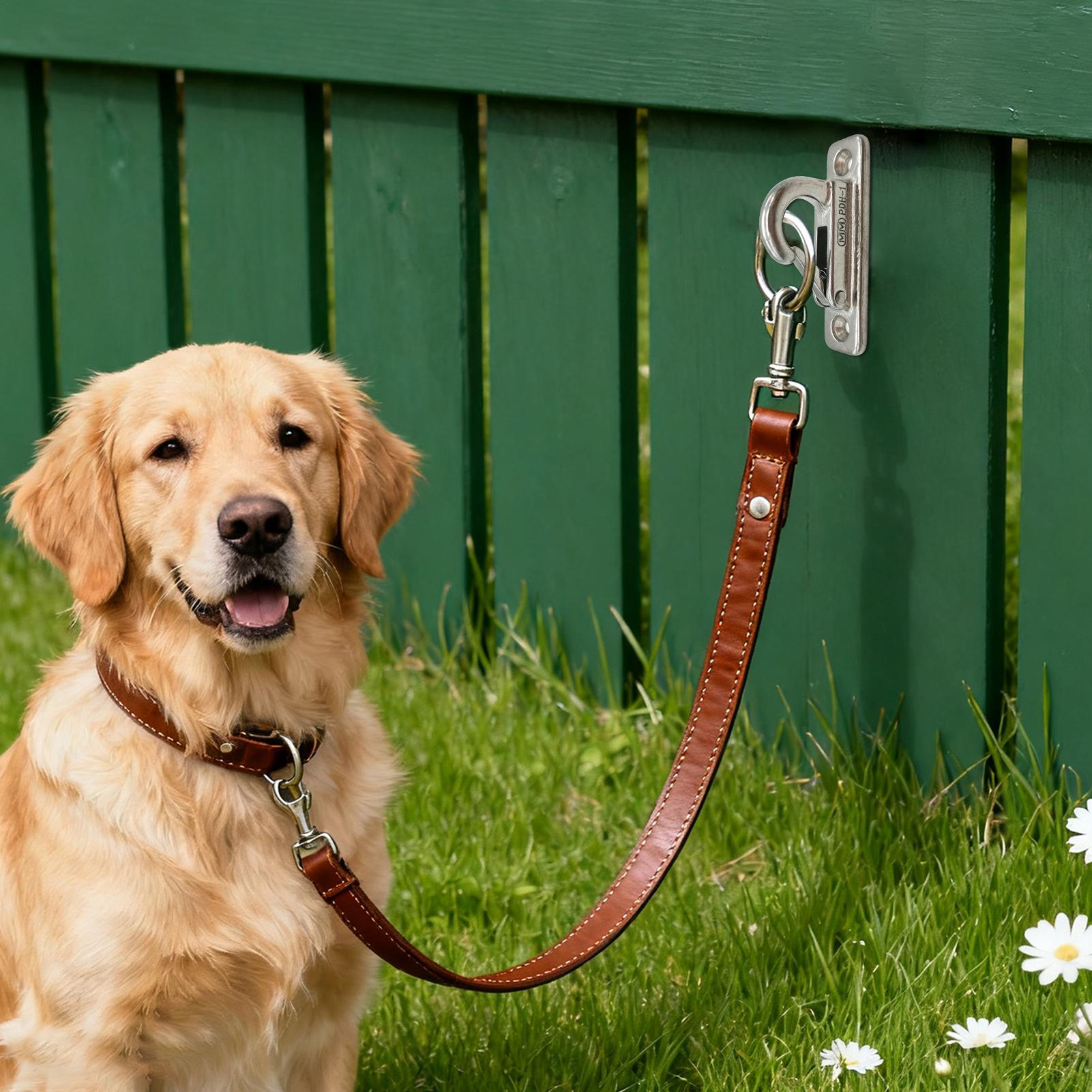 Dog Leashes Holder for Wall Pe - مراجعة Security Chain Door وسعره