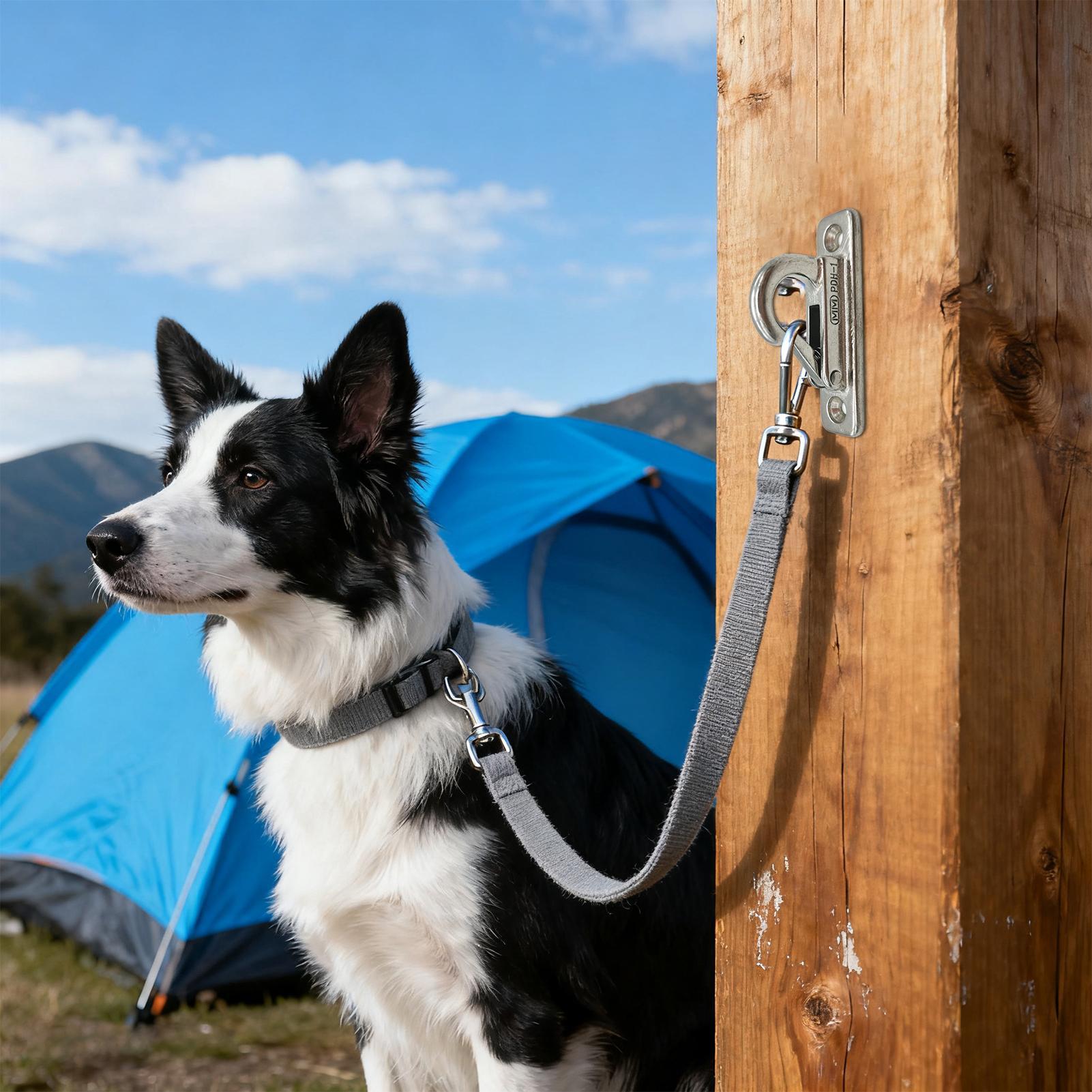 Dog Leashes Holder for Wall Pe - مراجعة Security Chain Door وسعره